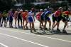 IMG_8523_93.jpg